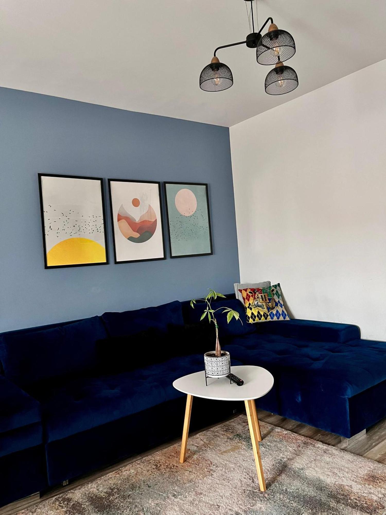 Comfortable Baia Mare Apartment Экстерьер фото
